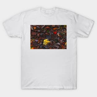 Autumn Leaves T-Shirt